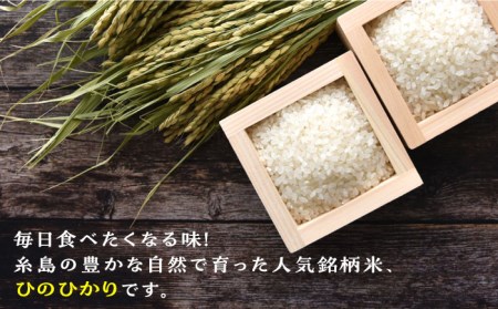 【全6回定期便】ひのひかり 10kg × 6回  糸島市 / 三島商店 [AIM015] 米 白米