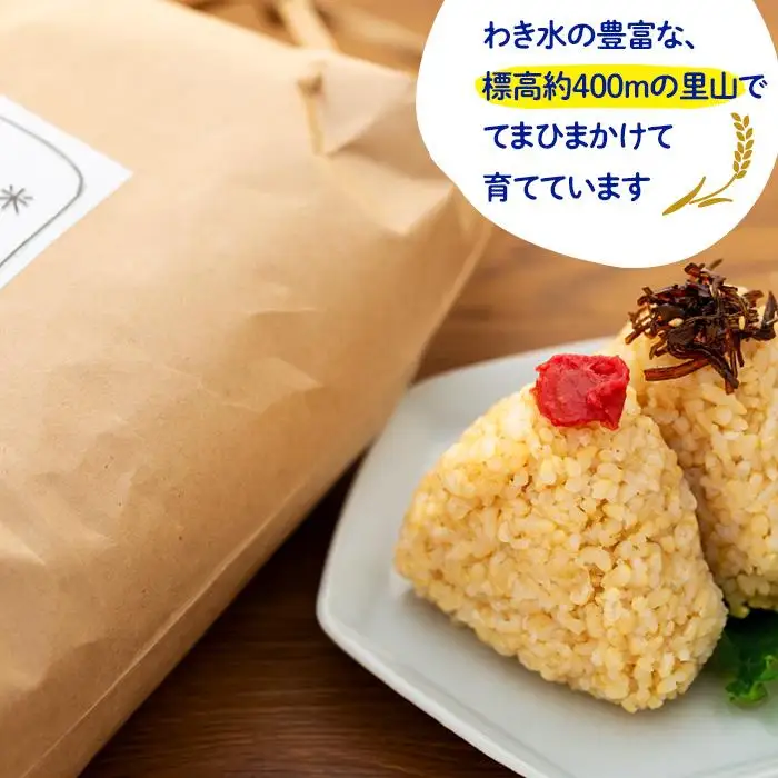 【無農薬・化学肥料不使用】大地の恵みをたっぷり受けた うるち米　あさひ（玄米）5kg