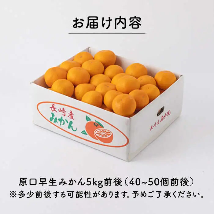 【先行予約】原口早生 みかん 約5kg [OCU003] みかん