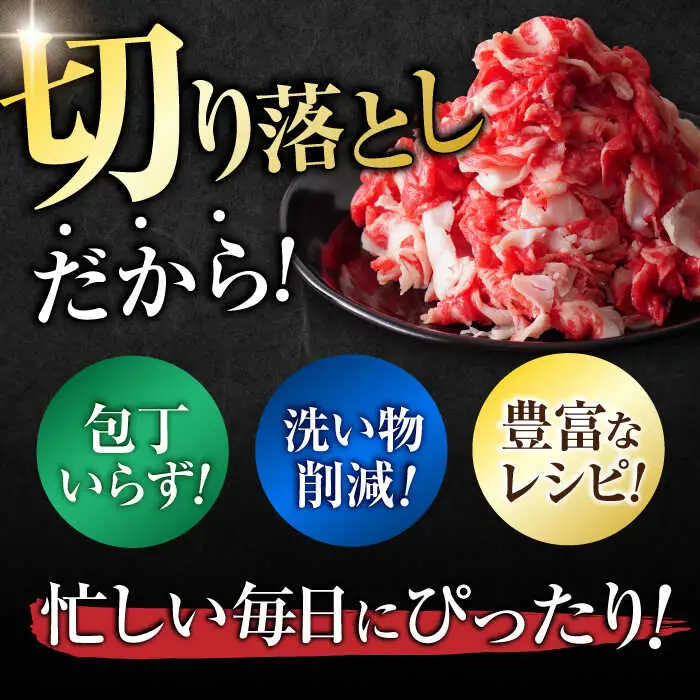 佐賀牛 切り落とし 計 600g （ 150g ×4パック） きりおとし 黒毛和牛[FDC008]