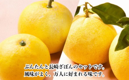 【数量限定】長崎ざぼん&ぶんたん セット 約8kg  [OAF008]