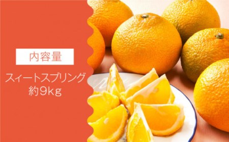 【数量限定】スィートスプリング 約9kg[OAF007] ミカン