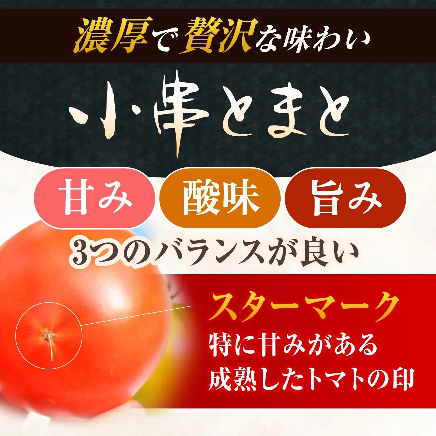 小串トマト 約1.3kg[OAE001] とまと トマト
