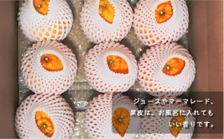【先行受付】不知火(しらぬい) 袋掛け 約3kg[OAG004]