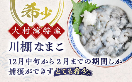 川棚 生なまこ 約1kg [OAI001]  なまこ