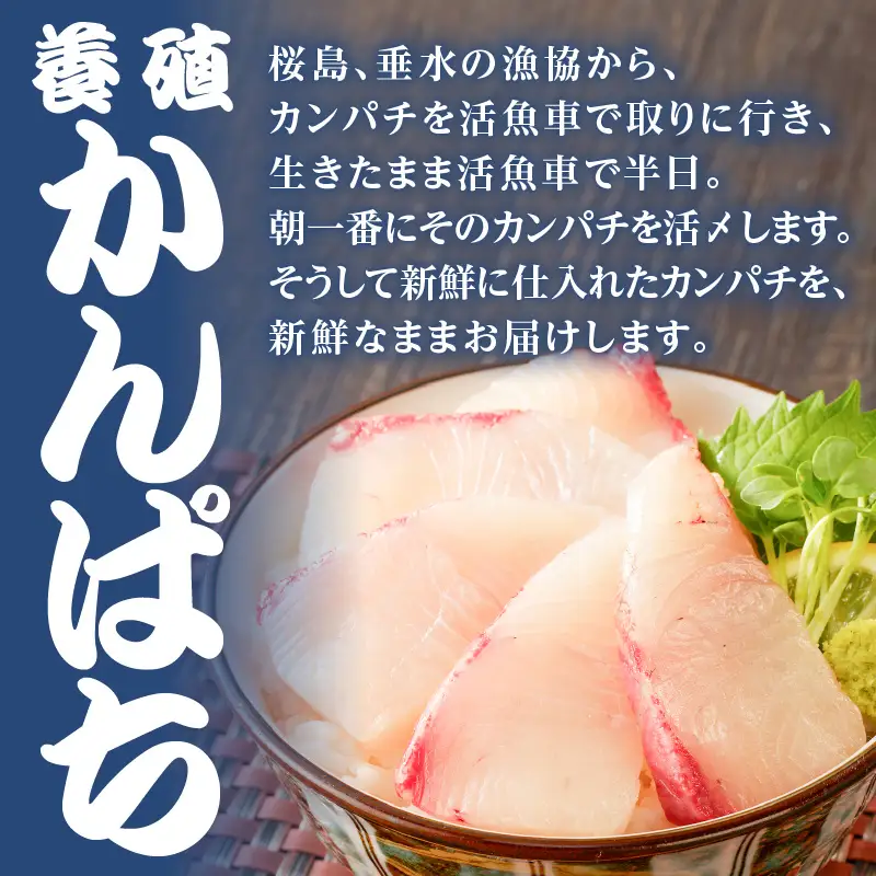 【 山実水産 】 もちもち 生カツオ (R) たたき 6節 + 養殖 かんぱち 柵 セット K046-001 魚