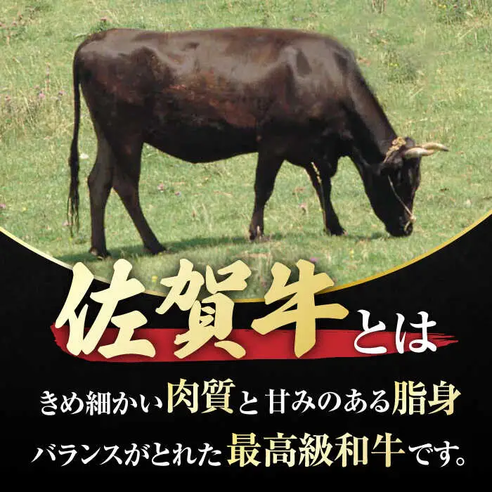 佐賀牛 ロースステーキ4枚とサイコロステーキ 計 1kg （ 500g ×2パック ） 吉野ヶ里町/一ノ瀬畜産 佐賀牛 牛肉 肉 国産 ブランド牛 ロース ステーキ サイコロステーキ [FDC005]