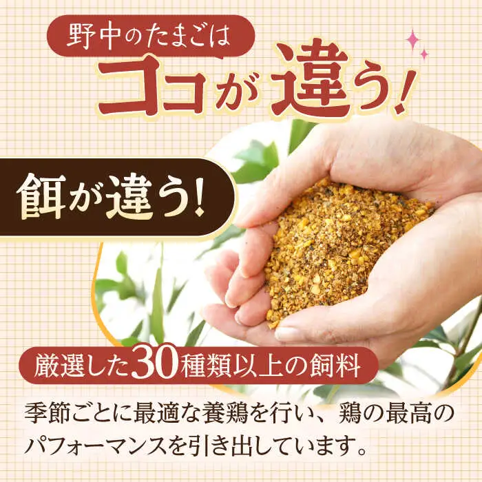 産みたて新鮮たまご 野中のたまご 40個[OAC001] 
