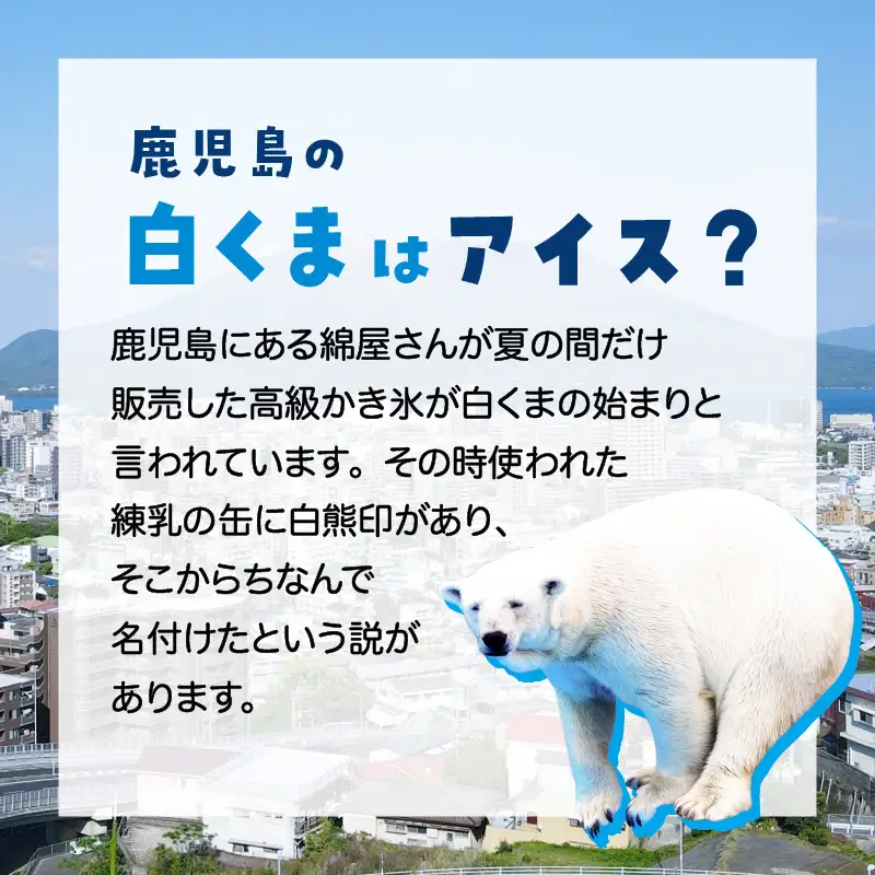 アイス 白くま 詰合せ 10個 セット 【セイカ食品 南国 白くま 南国 白くま マンゴー】 K051-001 冷凍