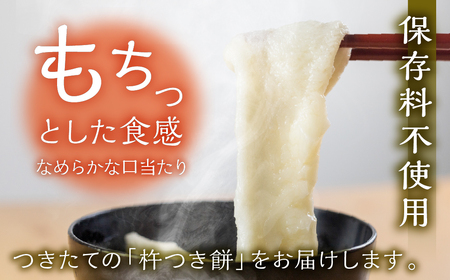 先行予約【2026年11月中旬頃～3月下旬発送】飛騨の生切りもち 5種類セット【87-7】