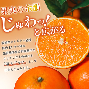 【2026年11月下旬頃から順次発送】【紅まどんな】 1箱 青秀以上 | まどんな【OS0042】
