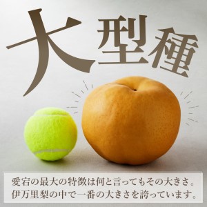 【令和8年産先行予約】伊万里梨 「愛宕」 約5kg 大型種 178-B944