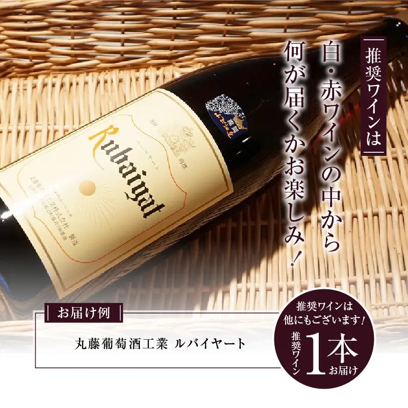 ワイン 勝沼ぶどうの丘推奨一升瓶ワイン（KBO）B-650