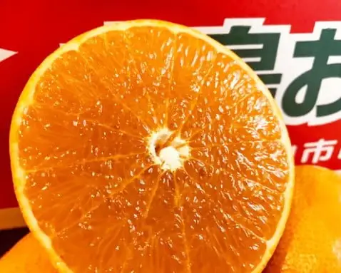 【一級品】せとか みかん 3kg 柑橘 蜜柑 愛媛県 松山市【TMN017_x】