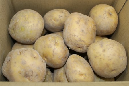 黒部産 じゃがいも（北あかり）3kg/くろべの太陽/富山県 黒部市 野菜 ジャガイモ 