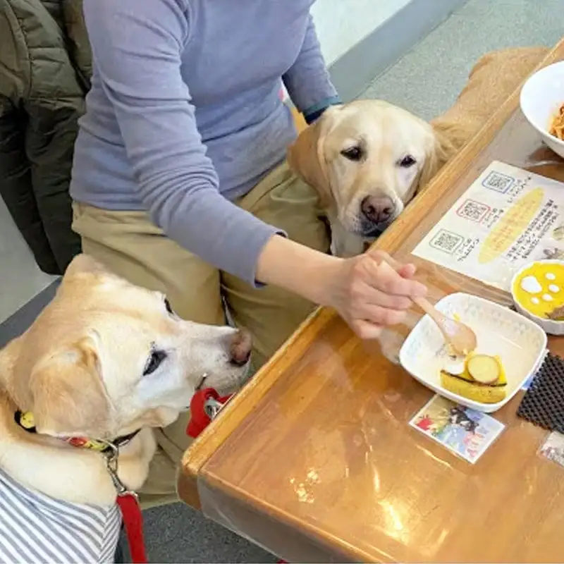 ”愛犬と伴にお食事” 「Dog Runs Well・ドッグパーク幸手店舗」お食事券 - チケット お食事券 カフェ 食事 ドッグカフェ ドッグラン 愛犬 犬 犬用おやつ おやつ Dog Runs Well ドッグランズウェル 埼玉県 幸手市