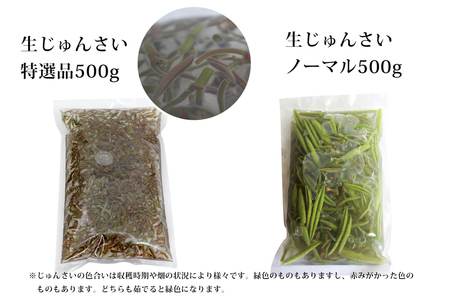 生じゅんさい食べ比べセット1kg タレ4個（生じゅんさい500g、特選生じゅんさい500g） 《冷蔵》（2027年5月上旬頃～7月下旬までに発送予定） 先行予約