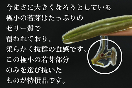 特選じゅんさい水煮カップ入り12個