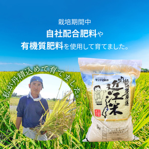 【令和7年度産】肥料屋厳選近江米コシヒカリ５㎏　モリタ肥料店 お米  近江米 DI-0003