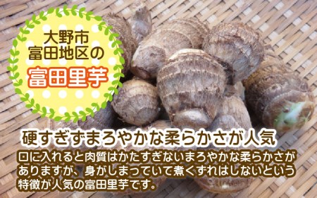 【先行予約】希少！とみた里芋 5kg ねっとりまろやか煮崩れなし！【11月より順次発送】 