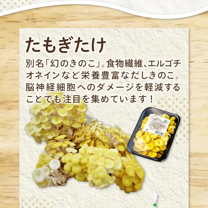 オーガニックきのこバラエティ小セット約800g（5種9パック入）