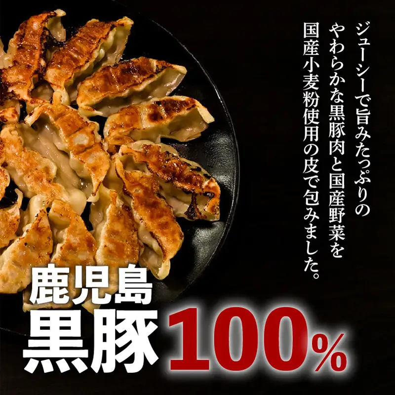 【第1回 日本全国！ ご当地冷凍食品大賞 2024-2025 優秀賞受賞！】鹿児島黒豚100%餃子 64個入り K027-009 肉 豚肉 惣菜 総菜 冷凍