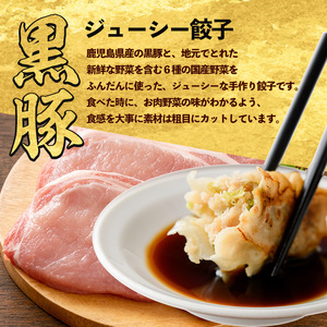 カツオ餃子・黒豚餃子食べ比べセット 紅龍 IB131-002 餃子 餃子 