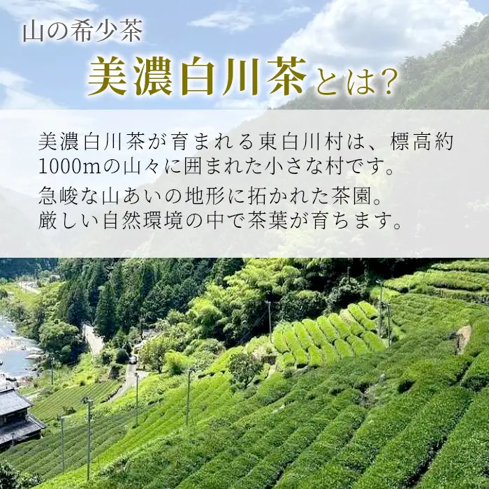 白川茶 茶蔵園 上煎茶 「薫風-くんぷう-」 70g 煎茶 お茶 緑茶 日本茶 茶葉 3000円