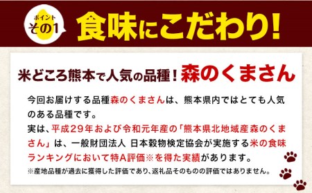 令和5年産 森のくまさん 【3ヶ月定期便】 無洗米 《お申込み月の翌月から出荷開始》 10kg (5kg×2袋)  計3回お届け 熊本県産 単一原料米 森くま 熊本県 御船町 st-p