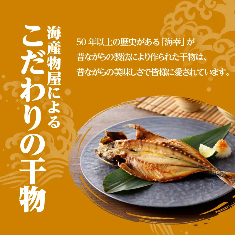 こしき海洋深層水仕立て 塩干物 12種 詰め合わせ （FS-02） K065-002 魚 冷凍