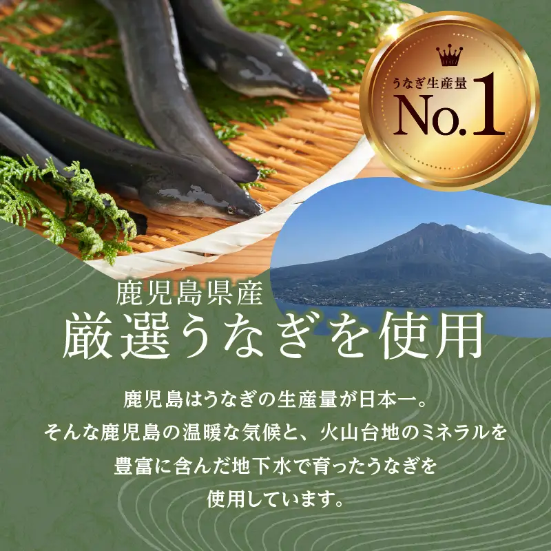 「うなぎ処 さいしょ」うなぎの蒲焼セット 3切×2パック K030-001 魚 惣菜 総菜
