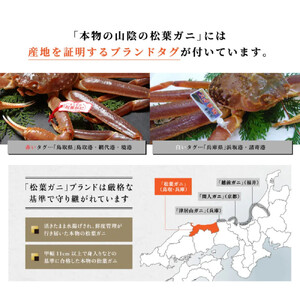 松葉ガニ夫婦 Bセット ブランドタグ付き※着日指定不可※【弁慶丸】