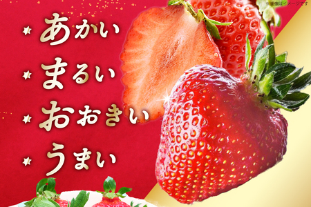 期間限定発送 博多あまおう 約270g×2