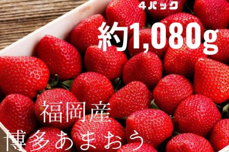 期間限定発送 博多あまおう 約270g×4