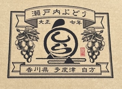 島田農園　デラウェア2kg【令和5年8月頃より発送！予約受付中】【A-96】