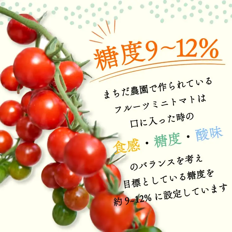 【2026年11月中旬～発送】 トマト フルーツミニトマト 2kg 高糖度 フルーツ ミニトマト