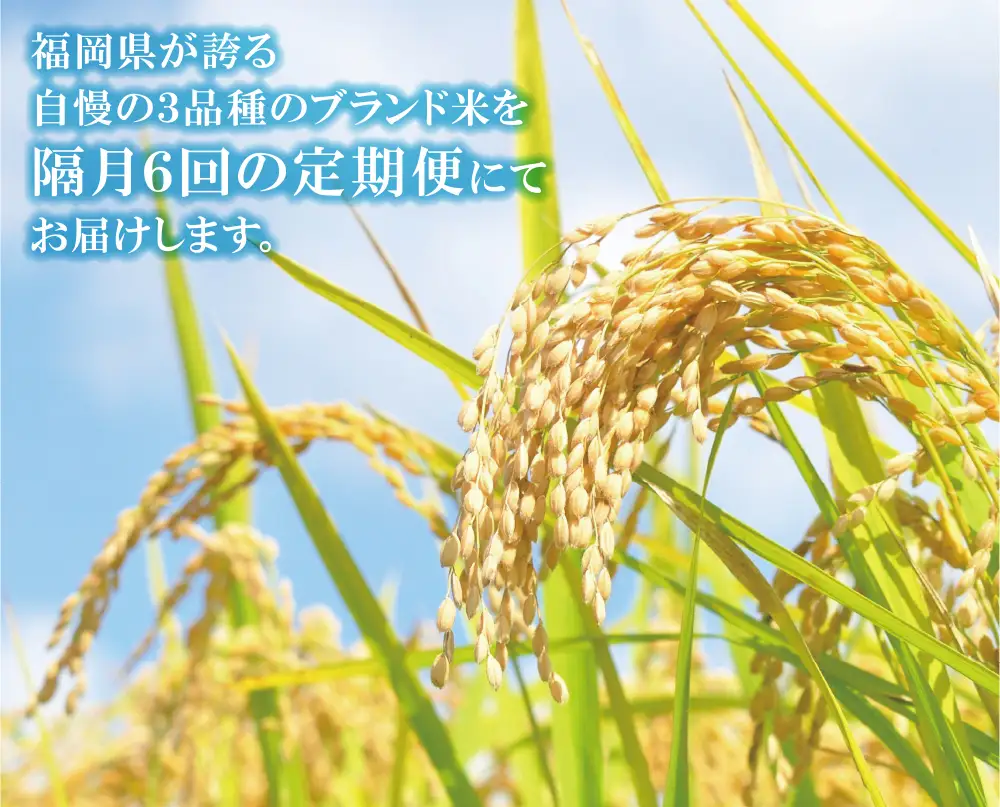 Z17-85 研ぐお米福岡県産米3品種セット6kg 定期便(隔月・年6回)