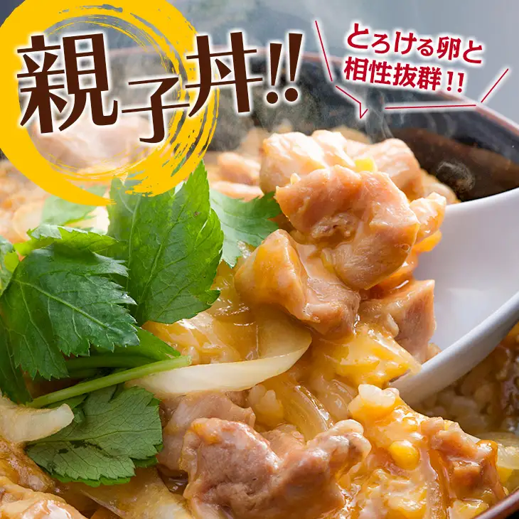 小分けで便利!! 真空パック 数量限定 鶏もも肉 定期便 3か月 お楽しみ 鶏肉 もも 切身 総重量9kg 国産 鳥 チキン カット 人気 小分け おかず お弁当 おつまみ 食品 から揚げ 焼肉 モモ肉 万能食材 大満足 おすそ分け お取り寄せ 宮崎県 日南市 送料無料_GD9-25