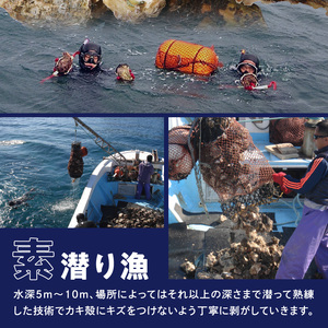 延岡産天然岩牡蠣（生食用）3kg（大）（2026年4月15日から発送開始） N036-YZA527