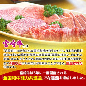 宮崎牛ロｰスしゃぶ N023-YZC004