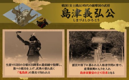 SS3-801 島津義弘 稚児鎧具足(子供鎧)