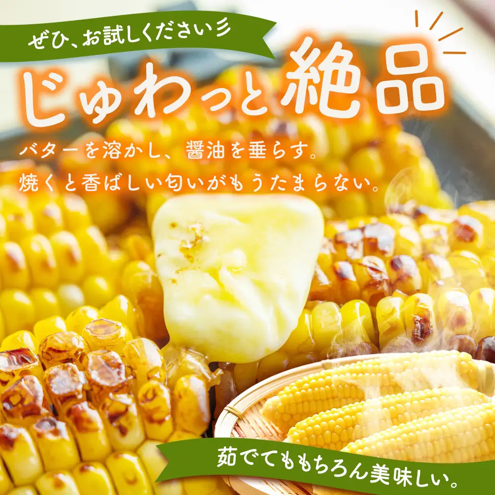 【先行予約】朝採り とうもろこし ゴールドラッシュ 6kg (L～2Lサイズ×15本) (2026年8月中旬発送) | とうもろこし 北海道 _01707