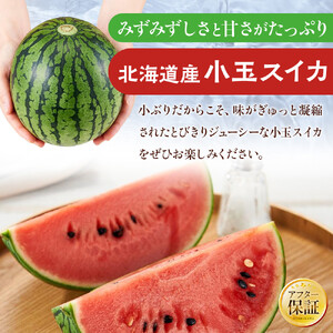 【先行予約】北海道産小玉スイカ1.6kg×2玉 (2026年7月中旬から発送開始) | スイカ _02063
