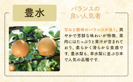 梨 豊水 5kg【栃木県共通返礼品】【配送不可地域あり】(離島)