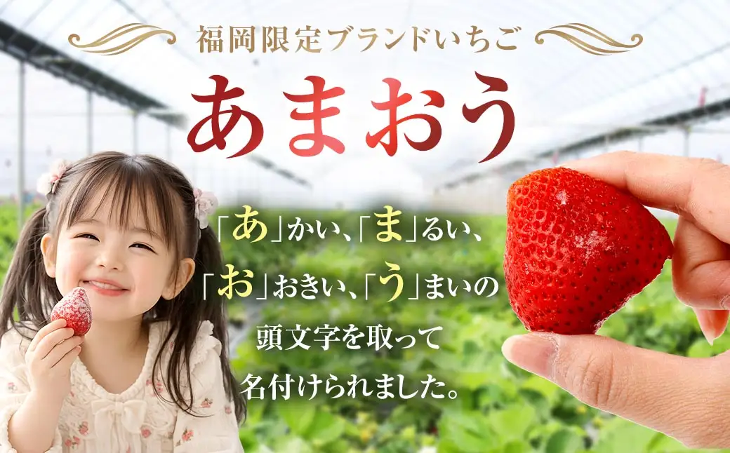 【特別栽培】うるう農園 冷凍あまおう 2kg あまおう イチゴ いちご 苺 フルーツ 果物