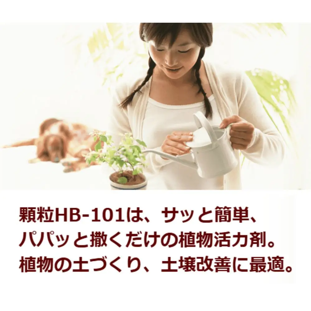 HB-101 セット