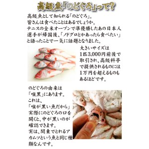 のどぐろ 開き干し 3枚 のどぐろ 干物 AU