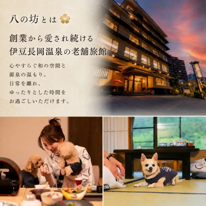愛犬と寛ぐ大人の隠れ宿　八の坊　全客室対応　宿泊補助券（50,000円分）