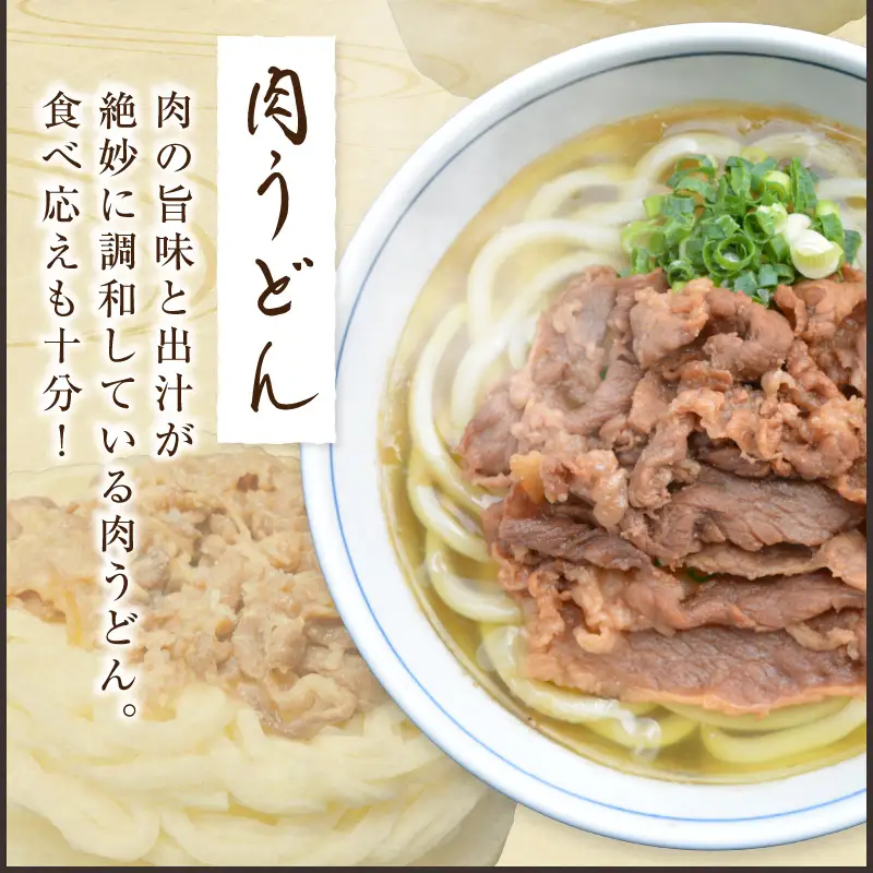 うどんそば処 あぐんちゃ 冷凍 ごぼう天うどんと肉うどん（４食）【A5-442】