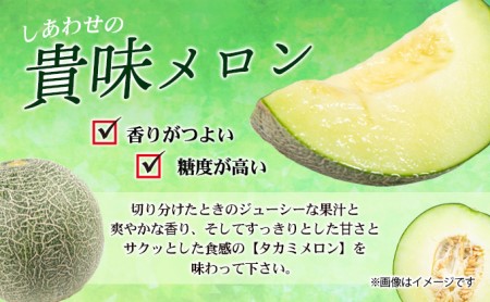 幸せの「タカミメロン」3玉～4玉（約2kg以上） フルーツ 果物 
